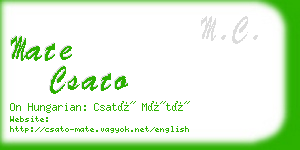 mate csato business card